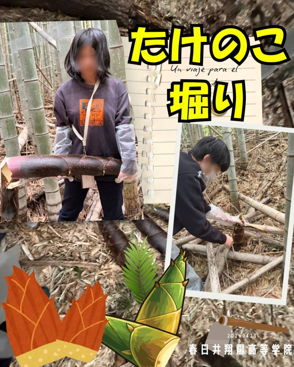 タケノコ掘り